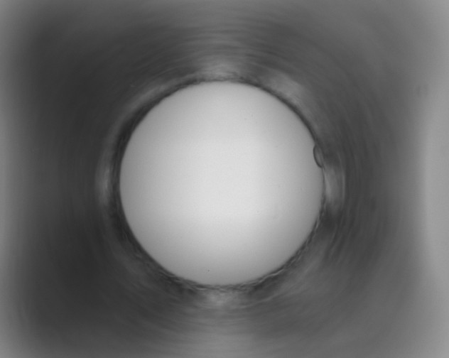 X0000088710579200706282045