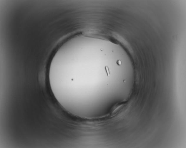 X0000088710580200706282045