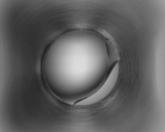 X0000088710581200706282045