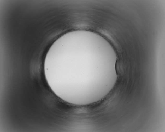 X0000088710583200706282045