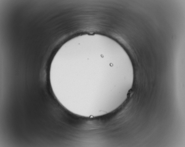 X0000088710584200706282045