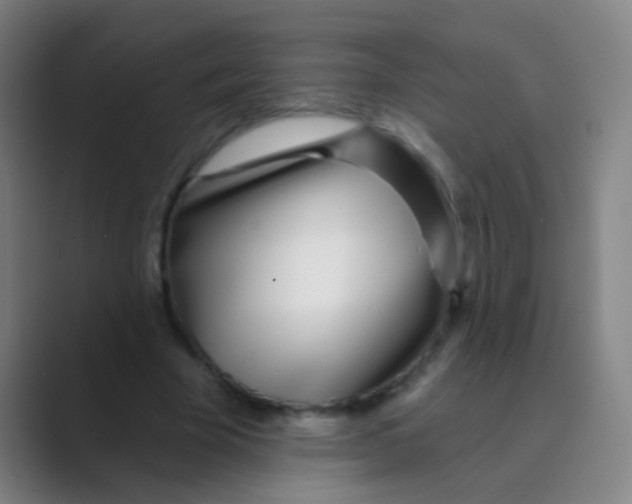 X0000088710585200706282045