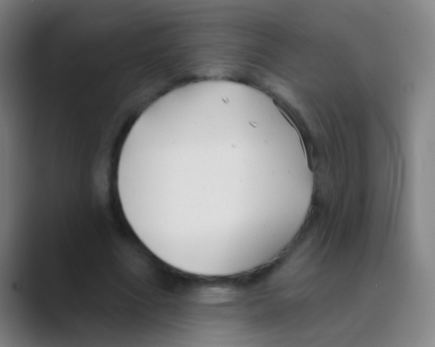 X0000088710586200706282045