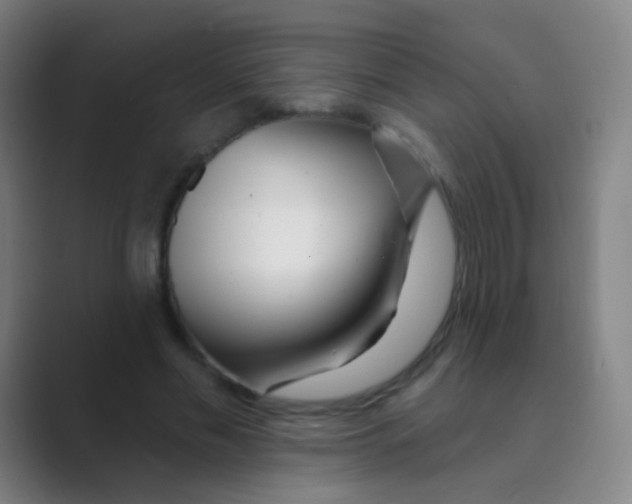 X0000088710589200706282045