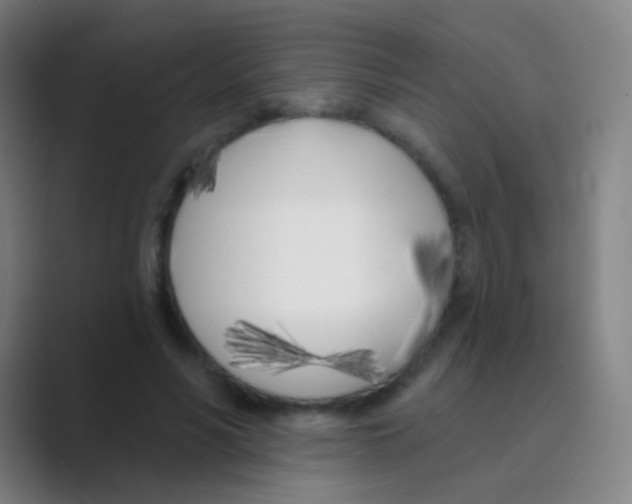 X0000088710590200706282045