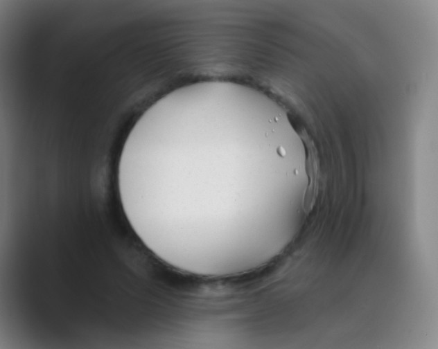 X0000088710591200706282045