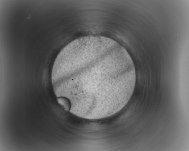 X0000088710594200706282045