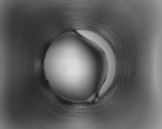 X0000088710597200706282045