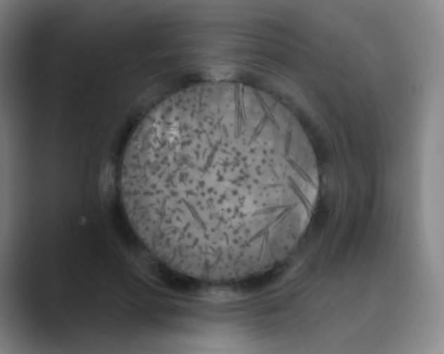 X0000088710598200706282045