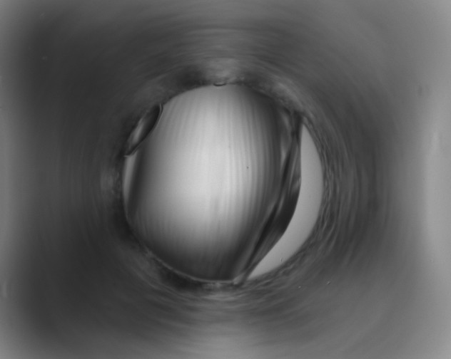 X0000088710601200706282045