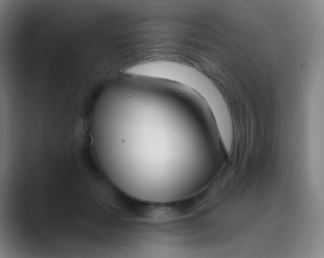 X0000088710605200706282045