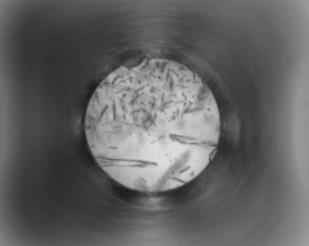 X0000088710610200706282045