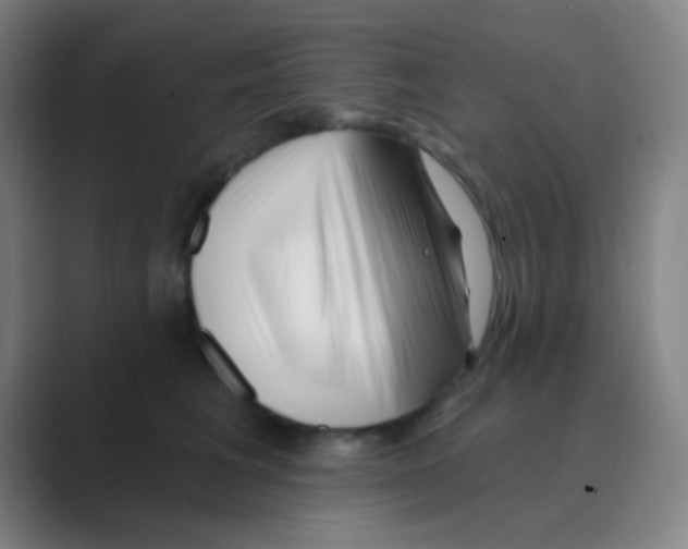 X0000088710613200706282045