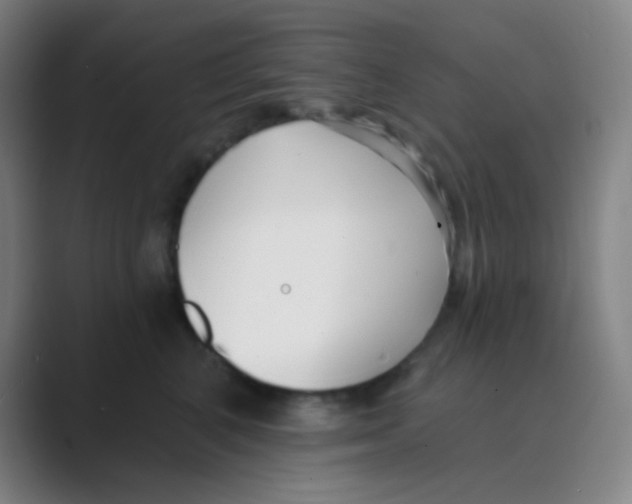 X0000088710616200706282045