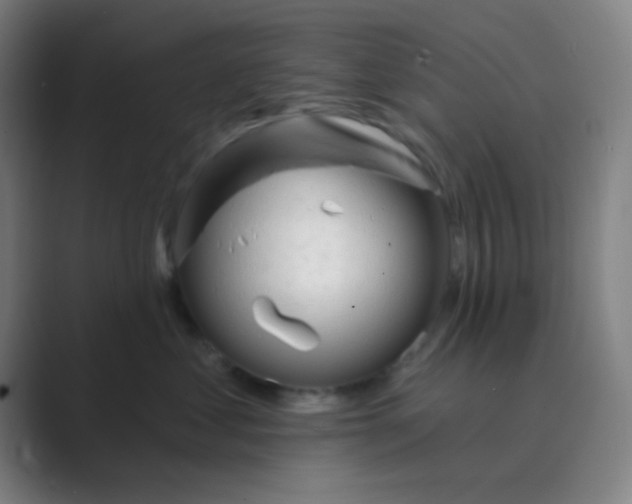 X0000088710621200706282044