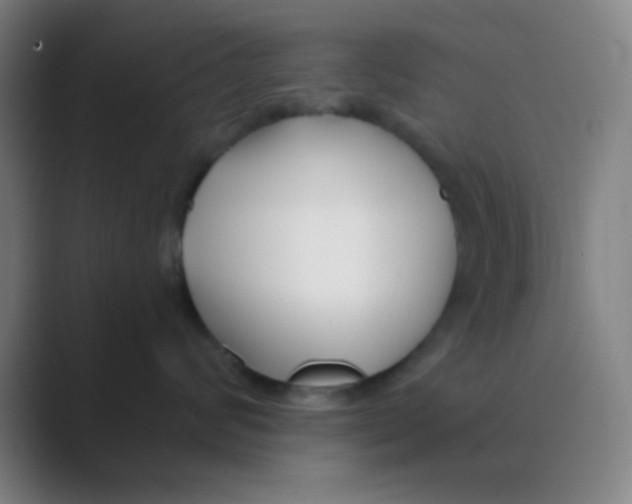 X0000088710624200706282044