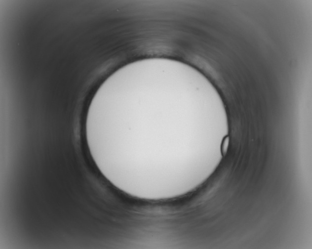 X0000088710629200706282044