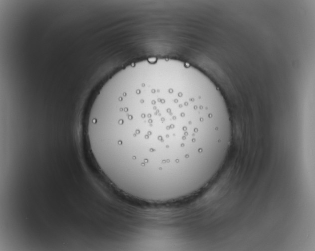 X0000088710630200706282044