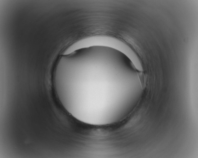 X0000088710634200706282044