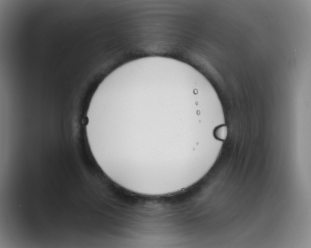 X0000088710635200706282044