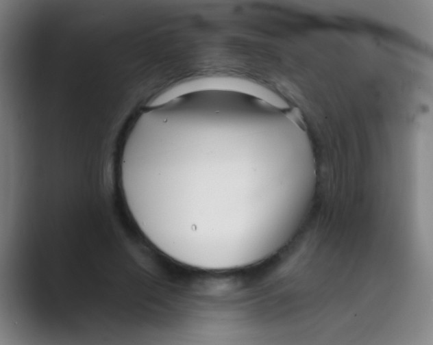 X0000088710638200706282044