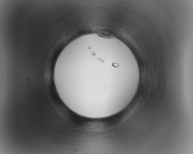 X0000088710644200706282044