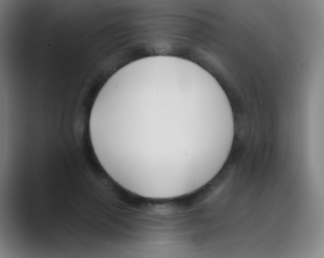 X0000088710645200706282044