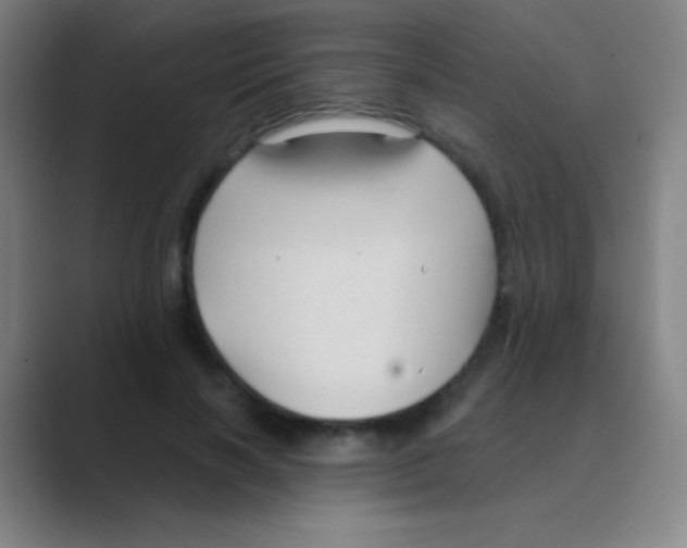 X0000088710646200706282044