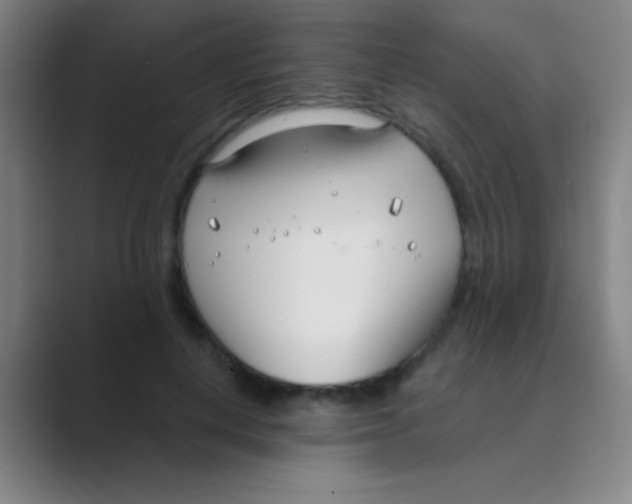 X0000088710648200706282044