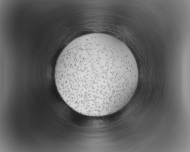 X0000088710650200706282044