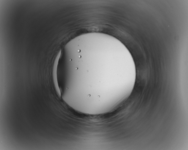 X0000088710652200706282044