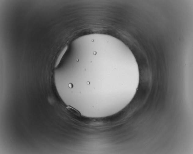 X0000088710653200706282044