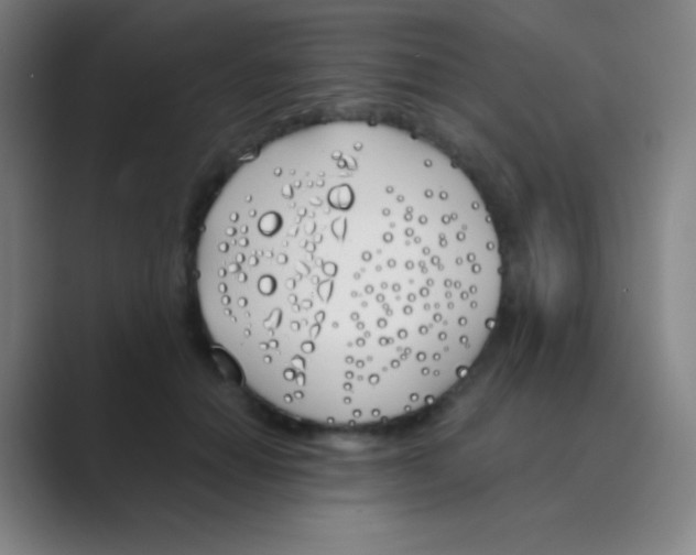 X0000088710654200706282044