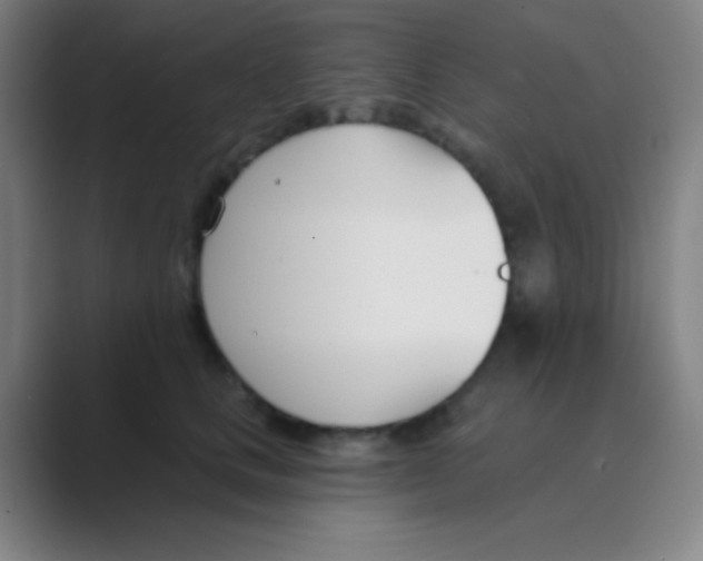 X0000088710661200706282044