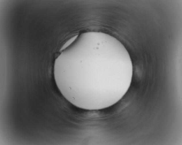 X0000088710668200706282044