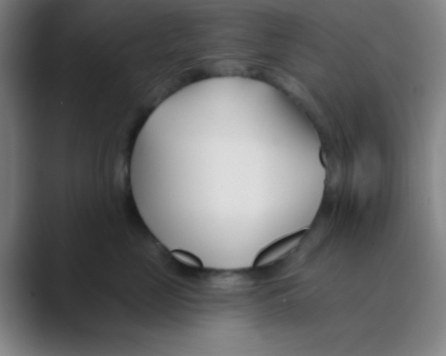 X0000088710669200706282044