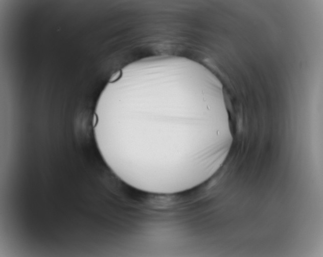 X0000088710671200706282044