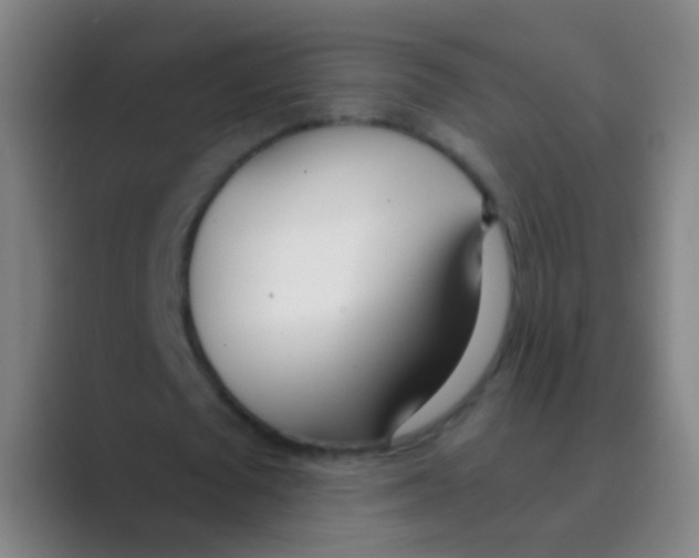 X0000088710673200706282044