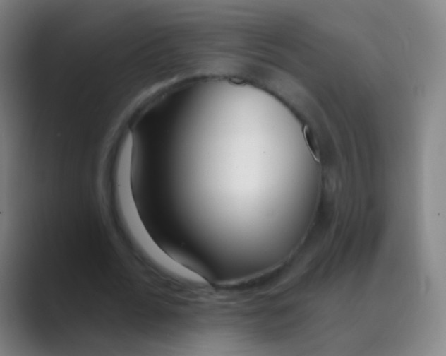 X0000088710676200706282044