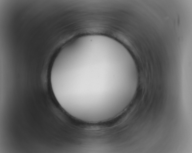 X0000088710677200706282044