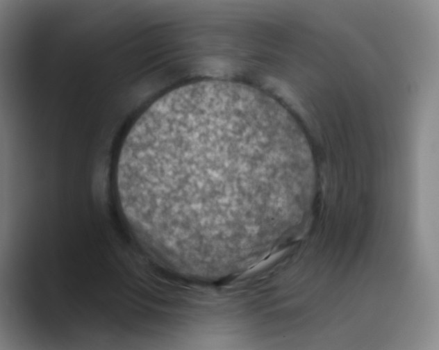 X0000088710679200706282044