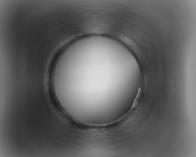 X0000088710680200706282044