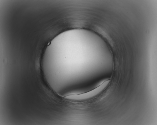 X0000088710681200706282044