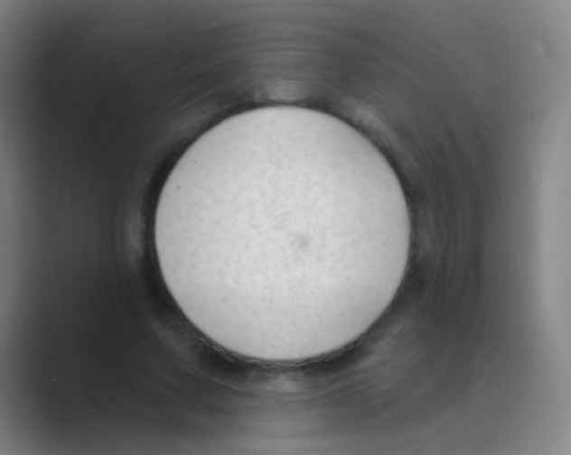 X0000088710683200706282044