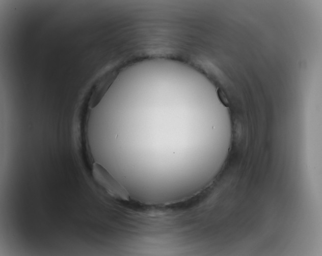 X0000088710684200706282044