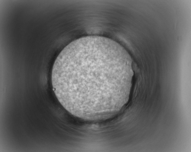 X0000088710687200706282044