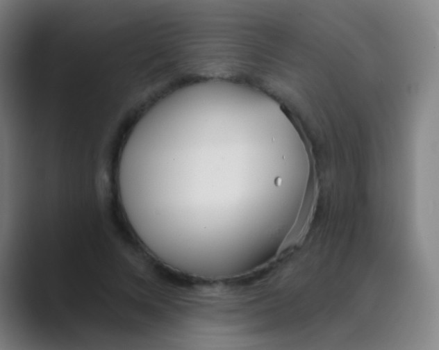 X0000088710688200706282044