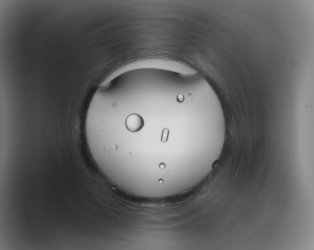 X0000088710693200706282044