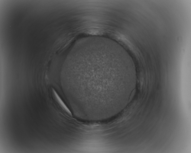 X0000088710696200706282044