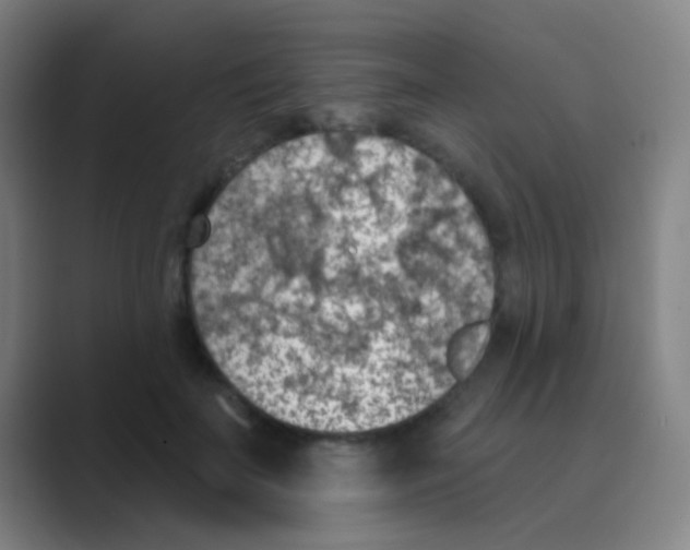 X0000088710699200706282043